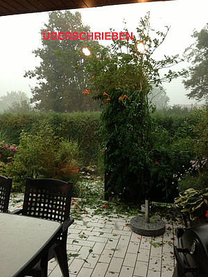 Testbild